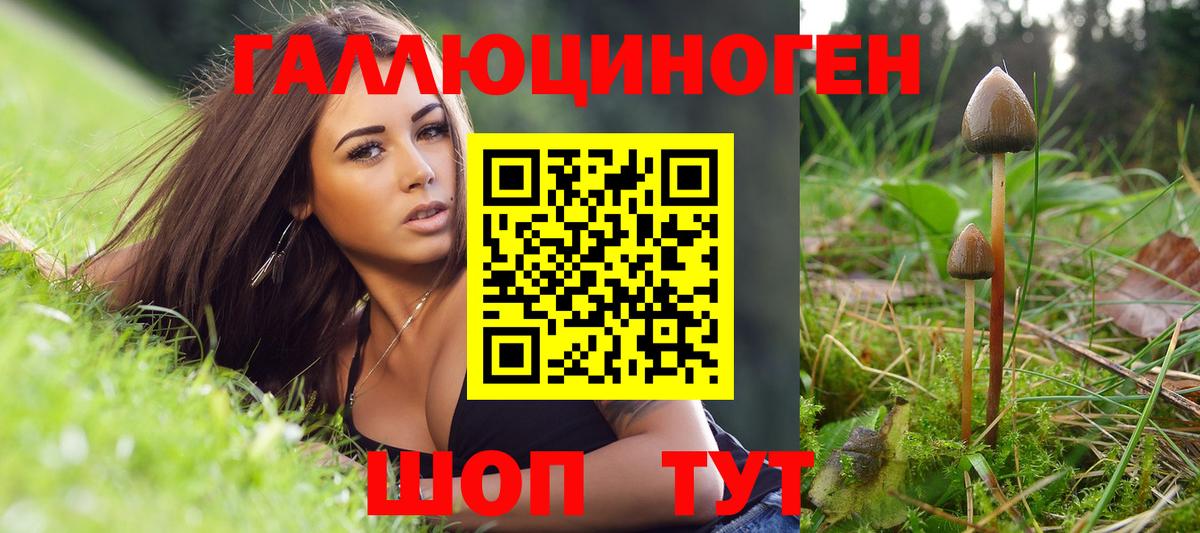 Аксай  Галлюциногенные грибы Magic Shrooms  Псилоцибиновые грибы Psilocybe  Вход с VPN 